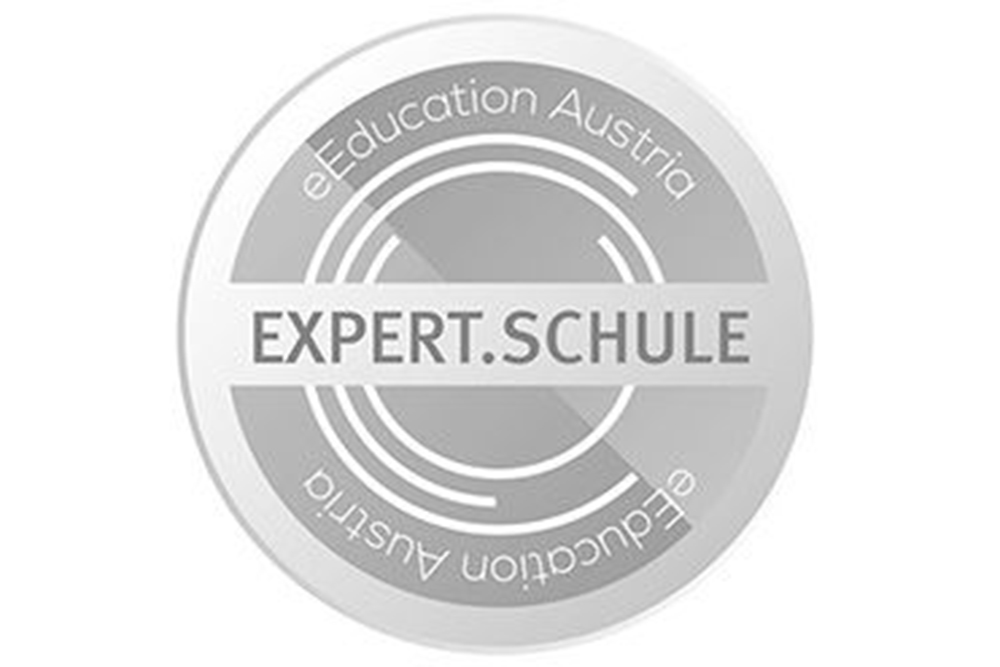 Expert Schule Logo