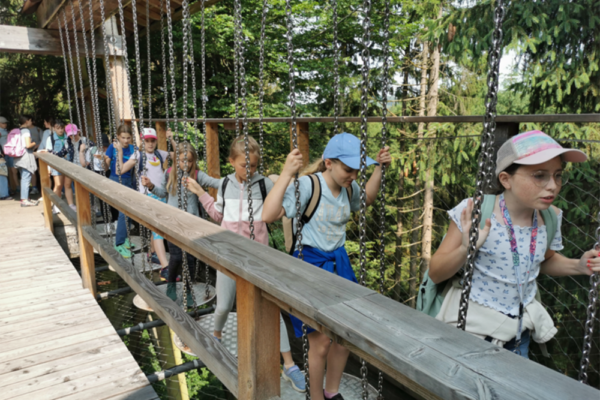 Eine Gruppe Kinder balanciert über schwebende Baumscheiben